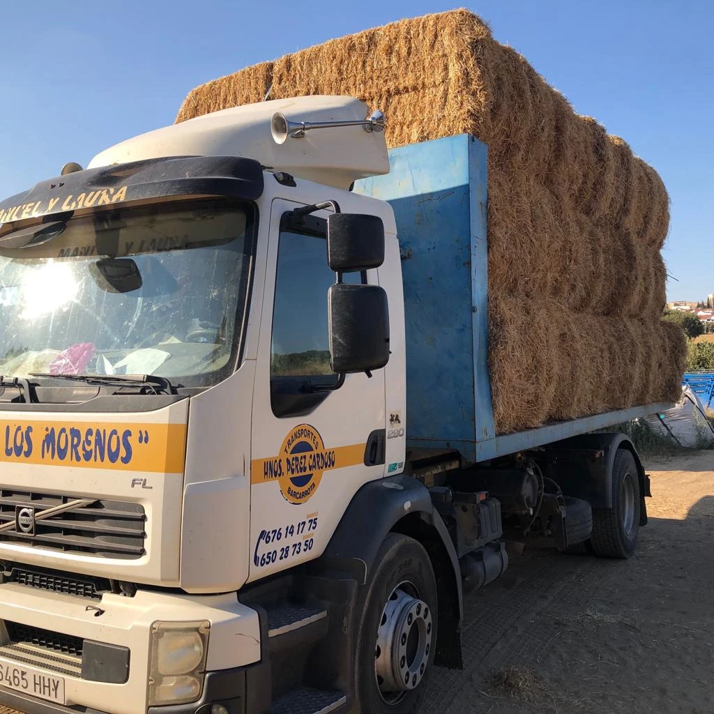 SERVICIOS DE TRANSPORTE EN BARCARROTA