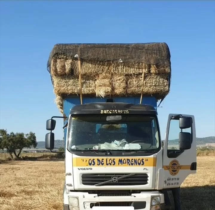 911B6A8B-622B-42C5-AF80-34C772B56C42